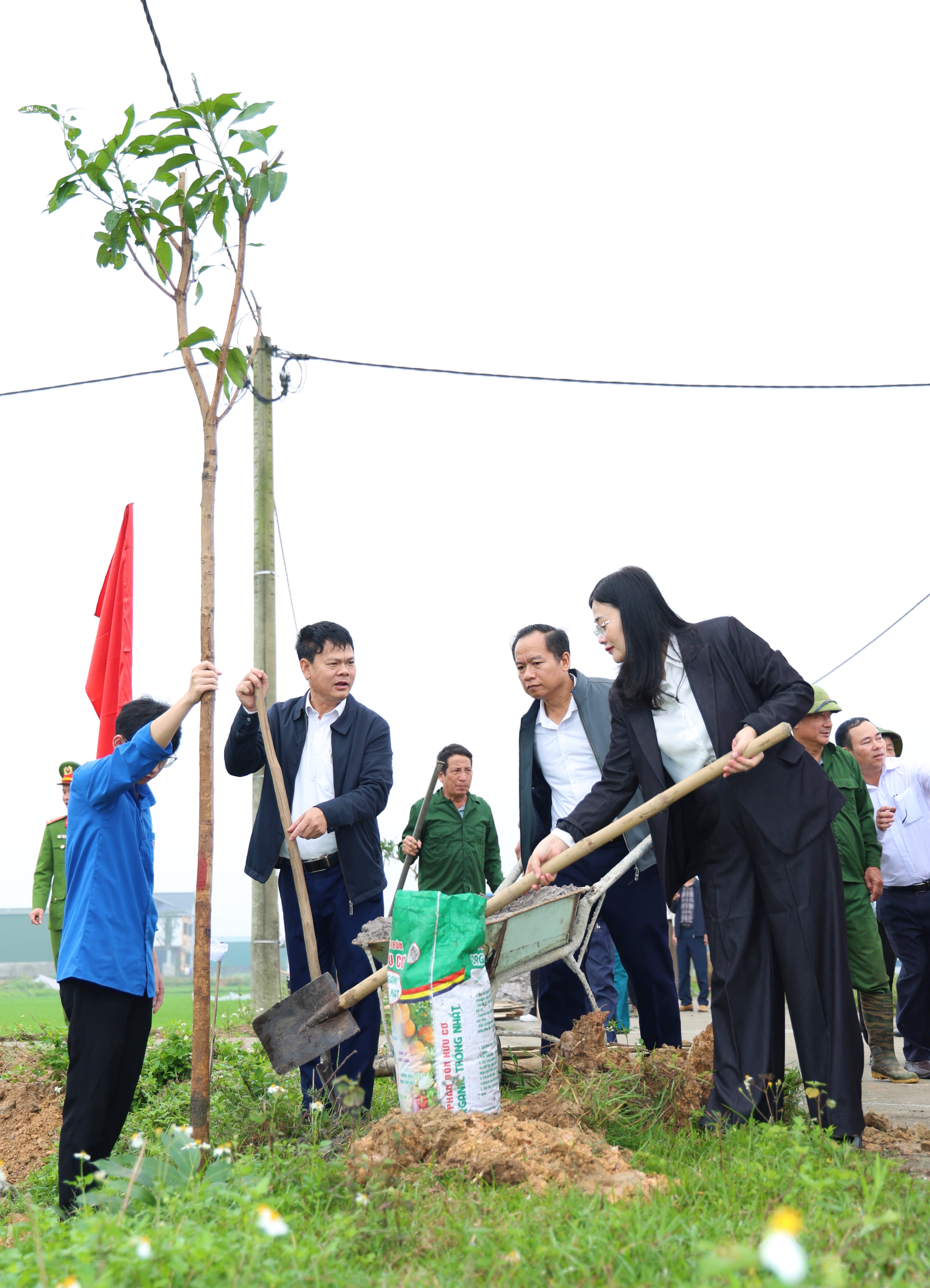 Toàn Lưu phấn đấu trồng gần 1.000 cây xanh dịp đầu xuân Bính Ngọ 2026