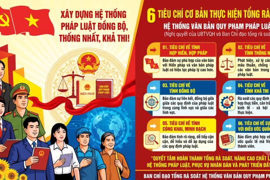 6 tiêu chí cơ bản thực hiện tổng rà soát hệ thống văn bản quy phạm pháp luật