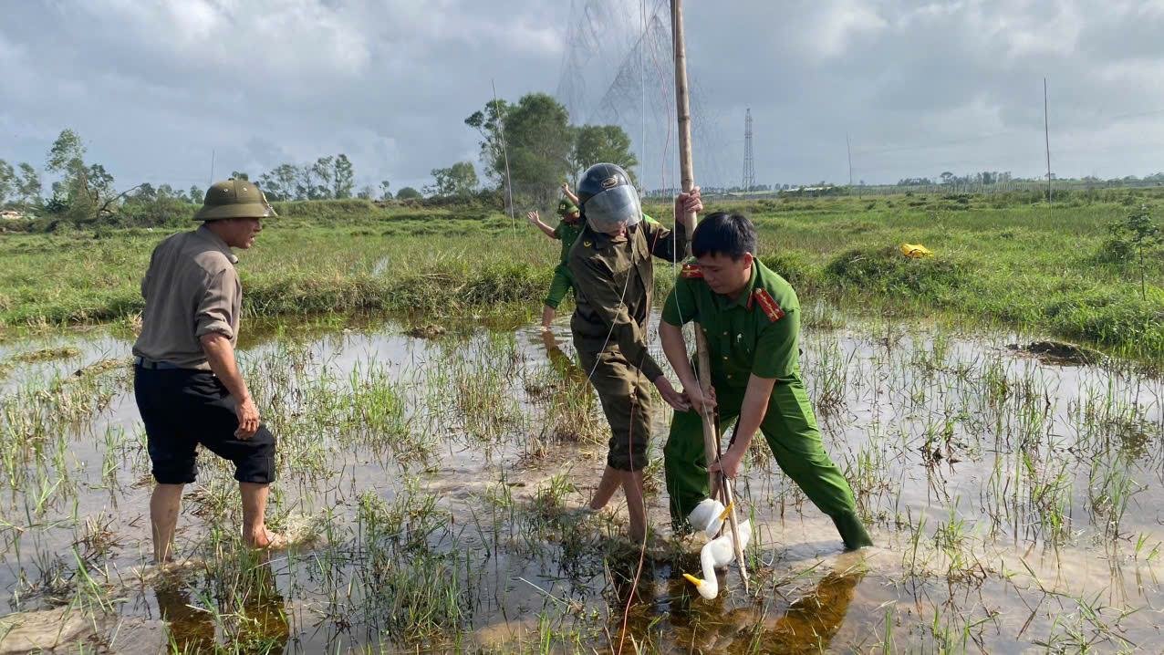 Công an xã Toàn Lưu chủ động ngăn chặn nạn bẫy bắt chim trời 